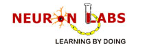 Neuron Labs School : Authentic and Progressive Education System for Holistic Development in Children