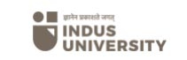 Indus University