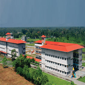  Ms. Bidisha Dutta, Principal