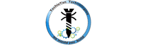 TechieYan Technologies
