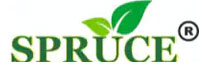 Spruce
