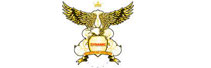 Dynamic Networking Institute