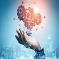 IIT Bombay, NYU Announce Partnership In Engineering Education
