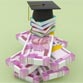 Government of Ireland announces Scholarships worth Rs1,500,000 for Indian students